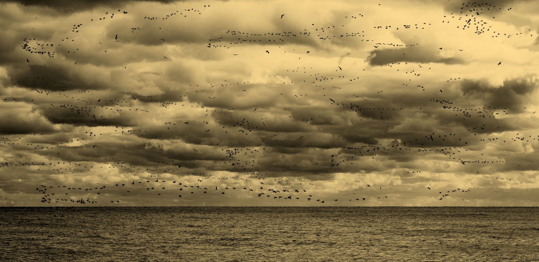 Handmade Orotone 34 X 70 inches. Edition of 7 SEE IN MONTAUK, THE JOURNEY
