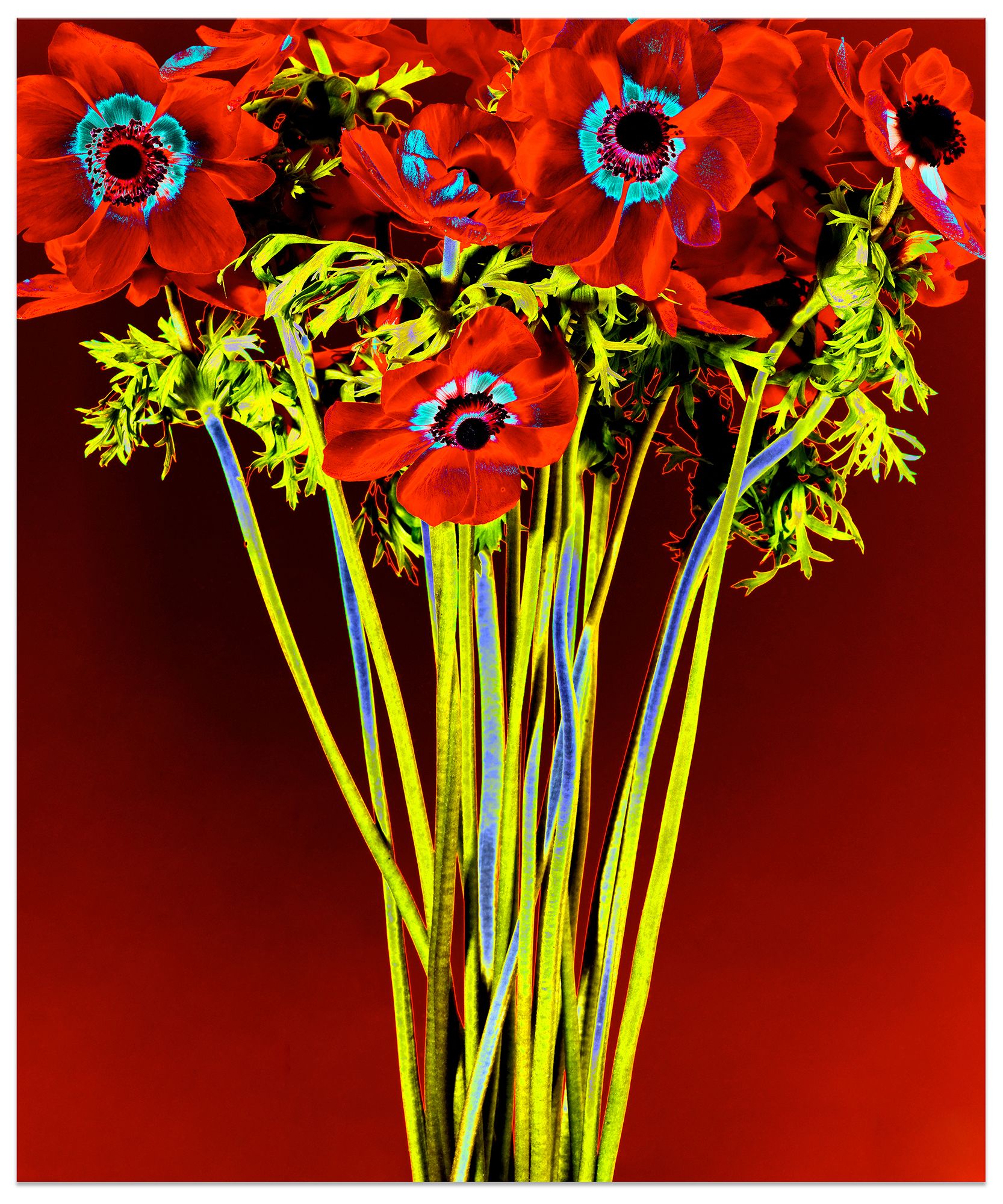 40 x 50". Edition of 7. C-print, Mounting and framing upon request.  RED DOT SOL II