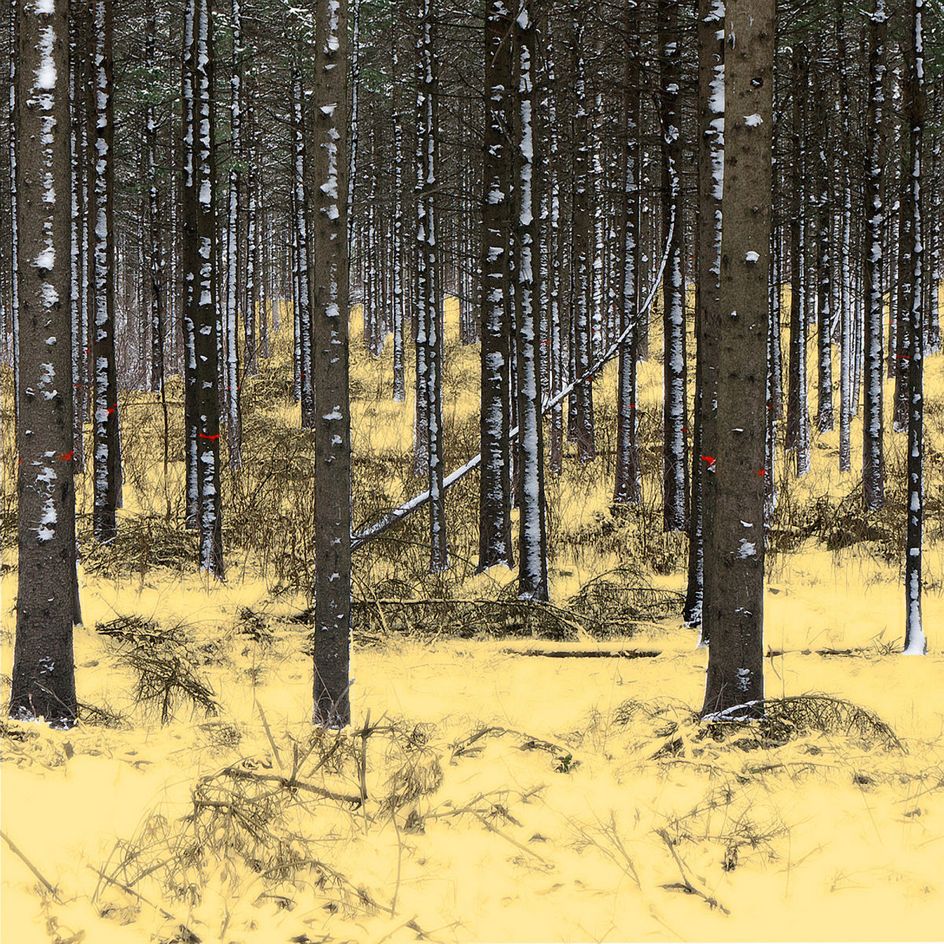 40 x 40 inches.  Edition of 7. Handmade Orotone & Silvertone (layering of gold & silver foil on print and lacquer on panel), braces to install. WONDERLAND AFTER KLIMT