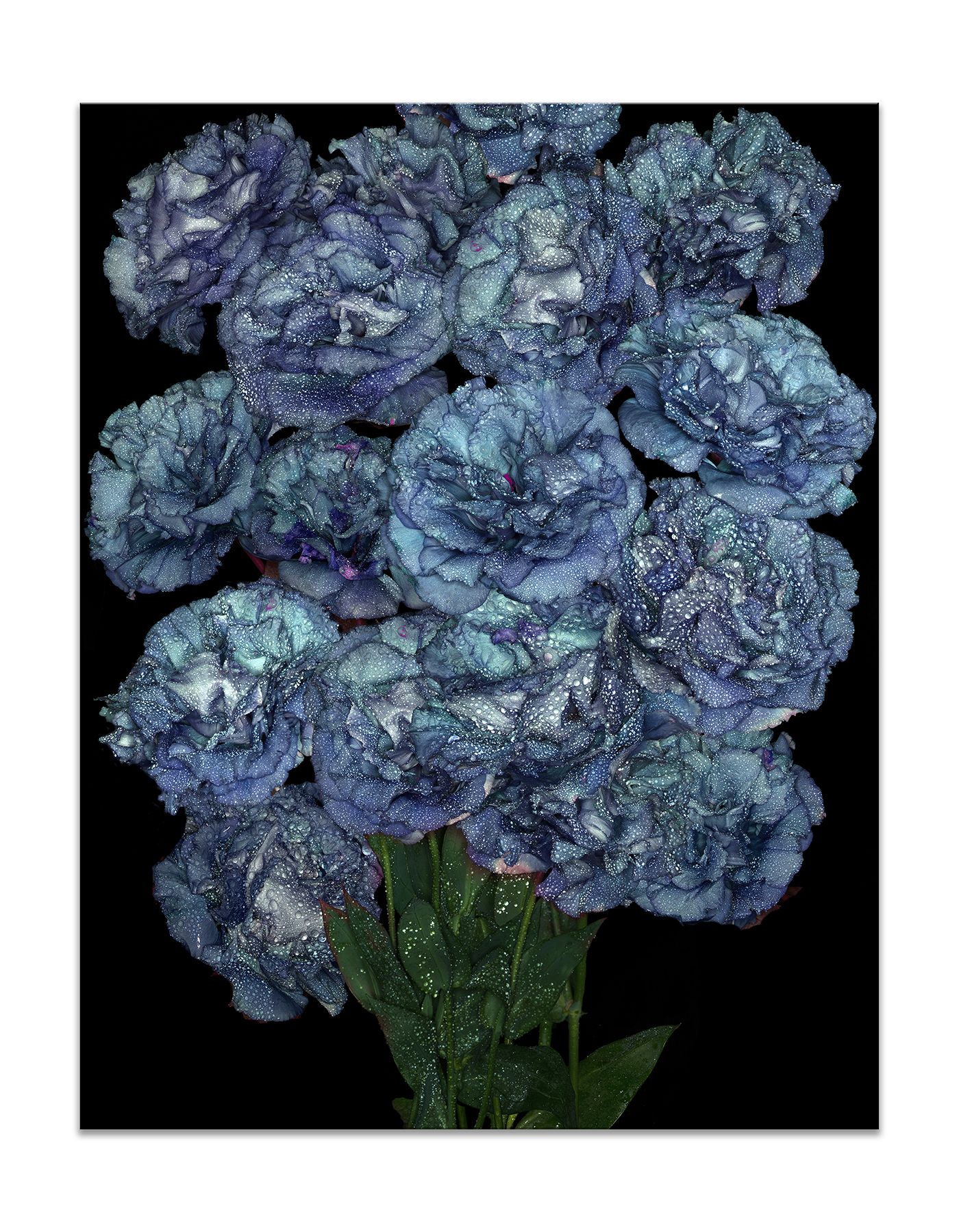 40 x 51 inches.. Edition of 7.  Handmade Silvertone (layering of silver foil on print and lacquer on panel), braces to install. STYLE ALIVE BLUE