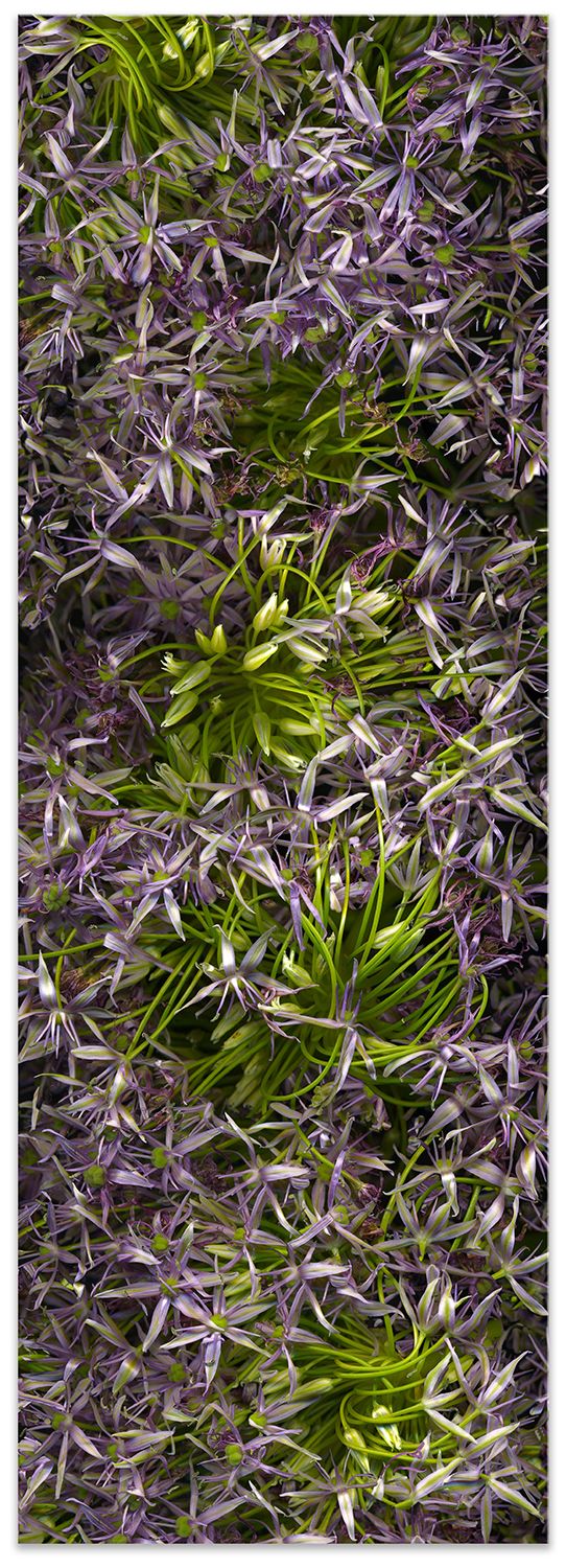 24.5 x 70 inches. Handmade Silvertone (layering of silver foil on print and lacquer on panel), braces to install. HONEY TREE VERTICAL