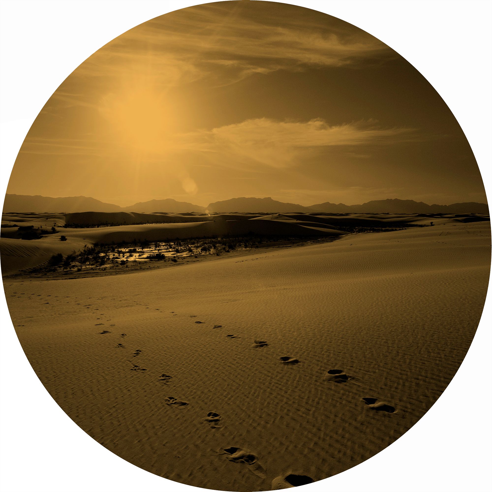 40 inches diameter.  Edition of 7.Handmade Orotone  (layering of print, Gold foil and lacquer on panel), braces to install. LOOKING FOR RICHARD VII