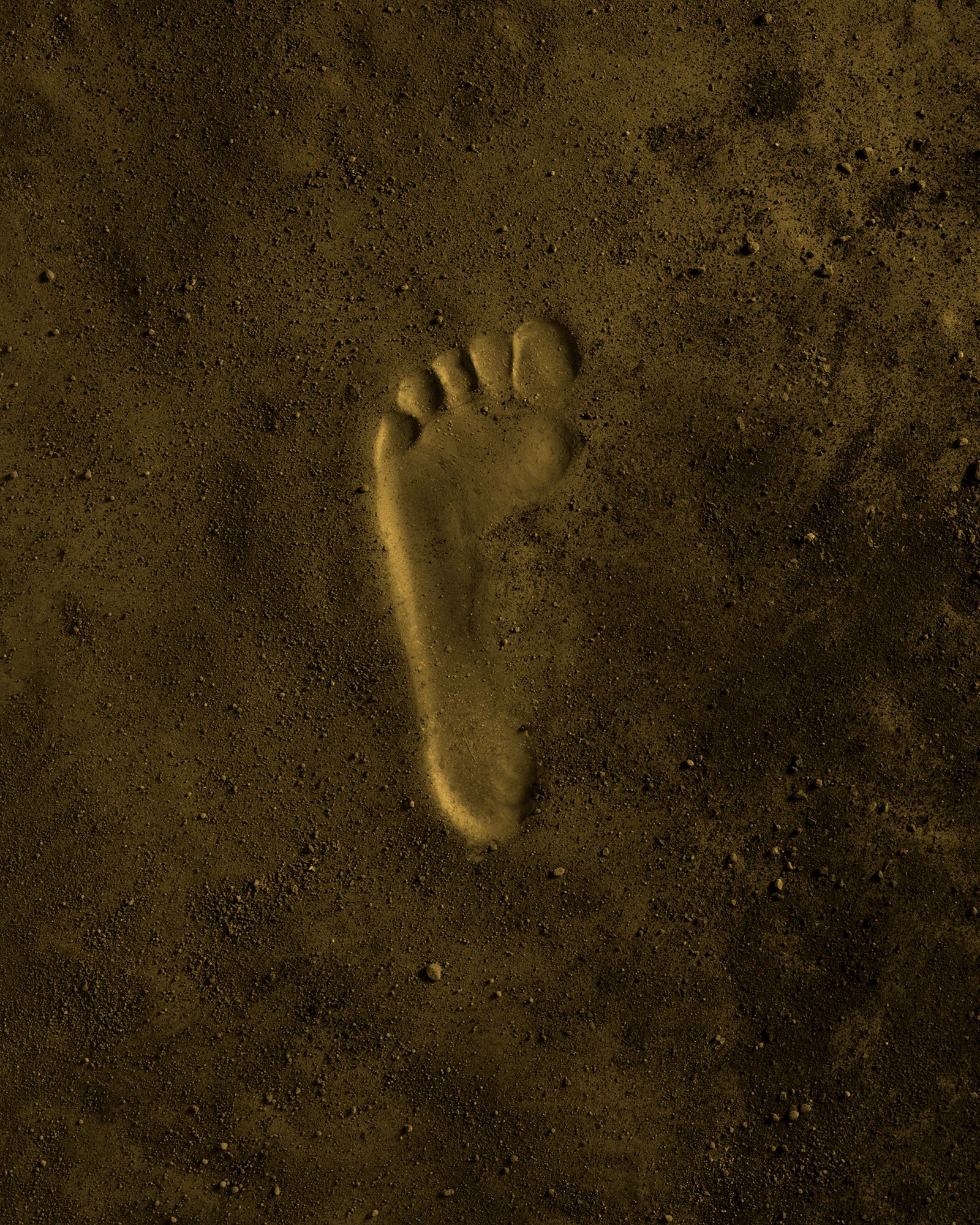 30 x 40 inches.  Edition of 7. Handmade Orotone  (layering of print, Gold foil and lacquer on panel), braces to install. LOOKING FOR RICHARD IX