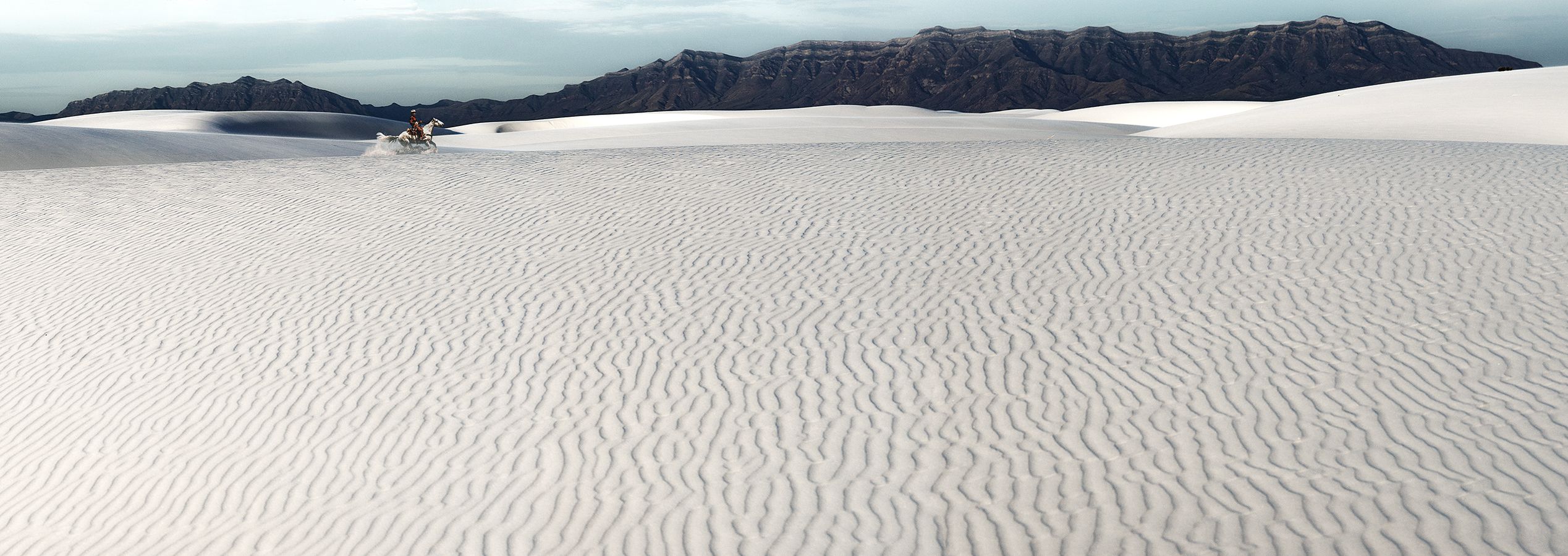 26 x 73 inches.  Edition of 7. Dye sublimation onto aluminum Dibond with integrated wall-mounts . Framed in Aluminum Art Box 2” deep.
 LOOKING FOR RICHARD VIII