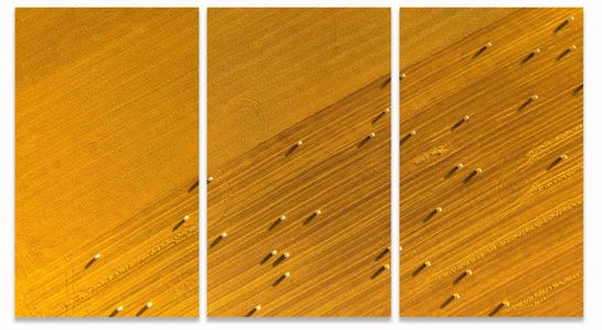 Handmade Orotone. Edition of 7 HARVEST III in 3
