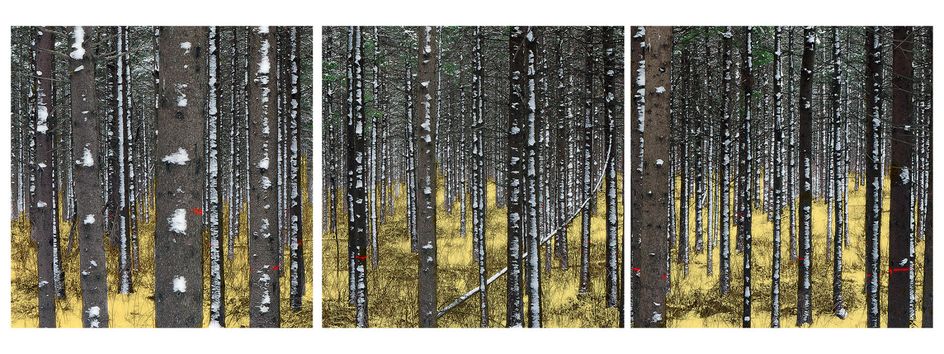 (40 x 40 inches) x 3. Edition of 7. Handmade Orotone & Silvertone (layering of gold & silver foil on print and lacquer on panel), braces to install. AFTER KLIMT TRIPTHYC