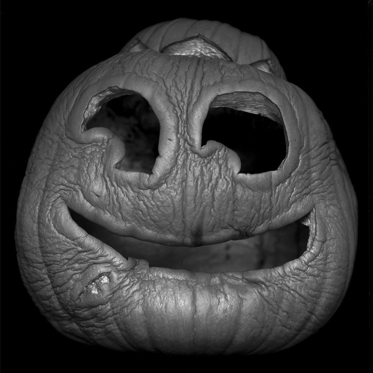 Silvertone (Silver foil on photograph). Edition of 7 MADAME PUMPKIN