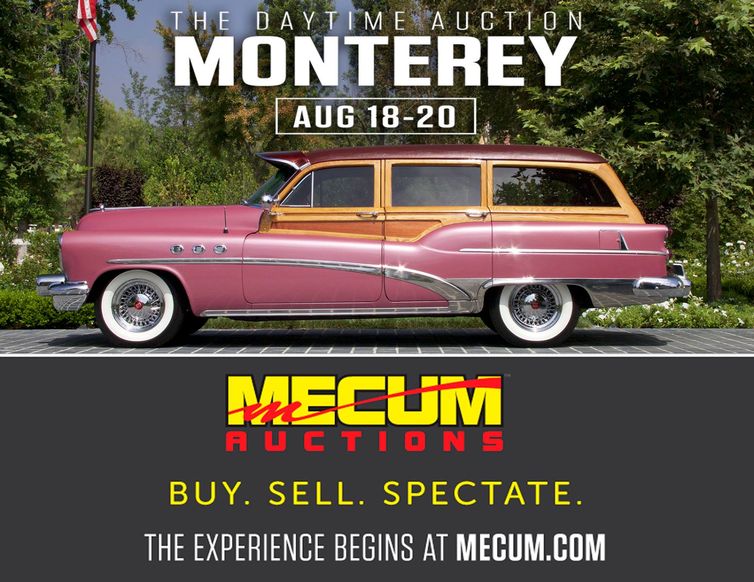 1mecumpromo_006.jpg