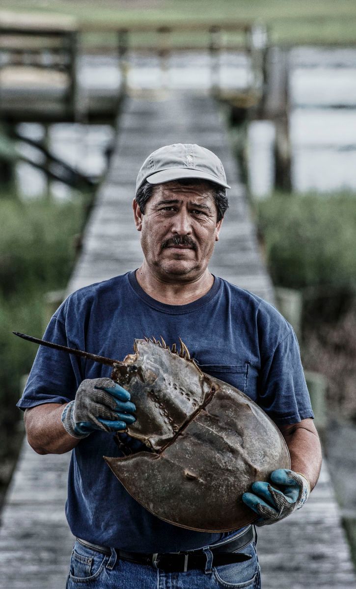 1crl_endosafe_2345_hdr_copy