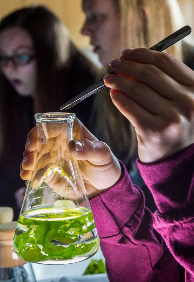 1unh_050216_4022_copy_copy