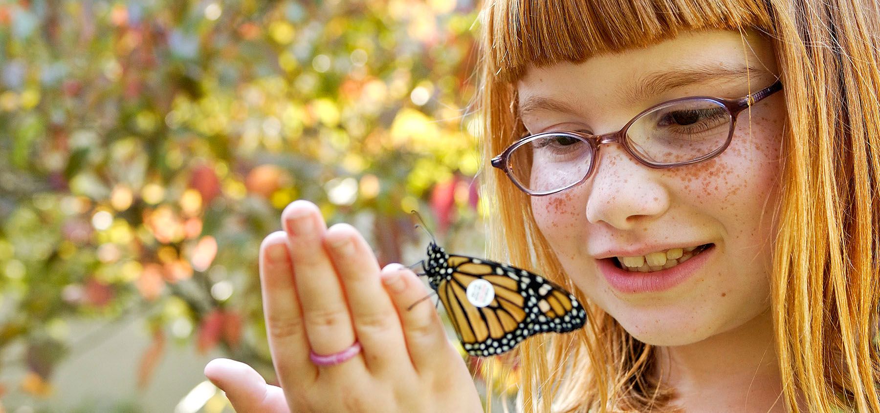 1orchard001033_webx5