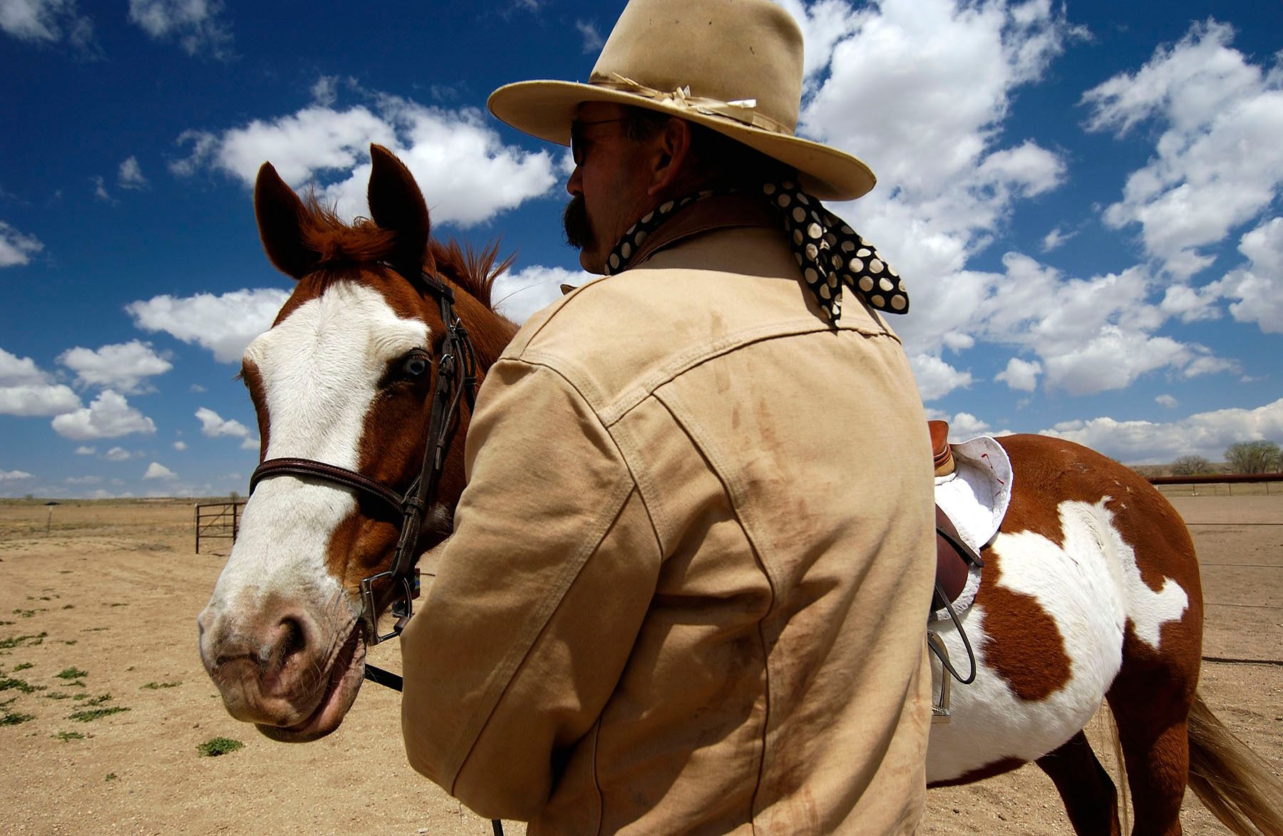 1fvs0853_4_29_06_copy