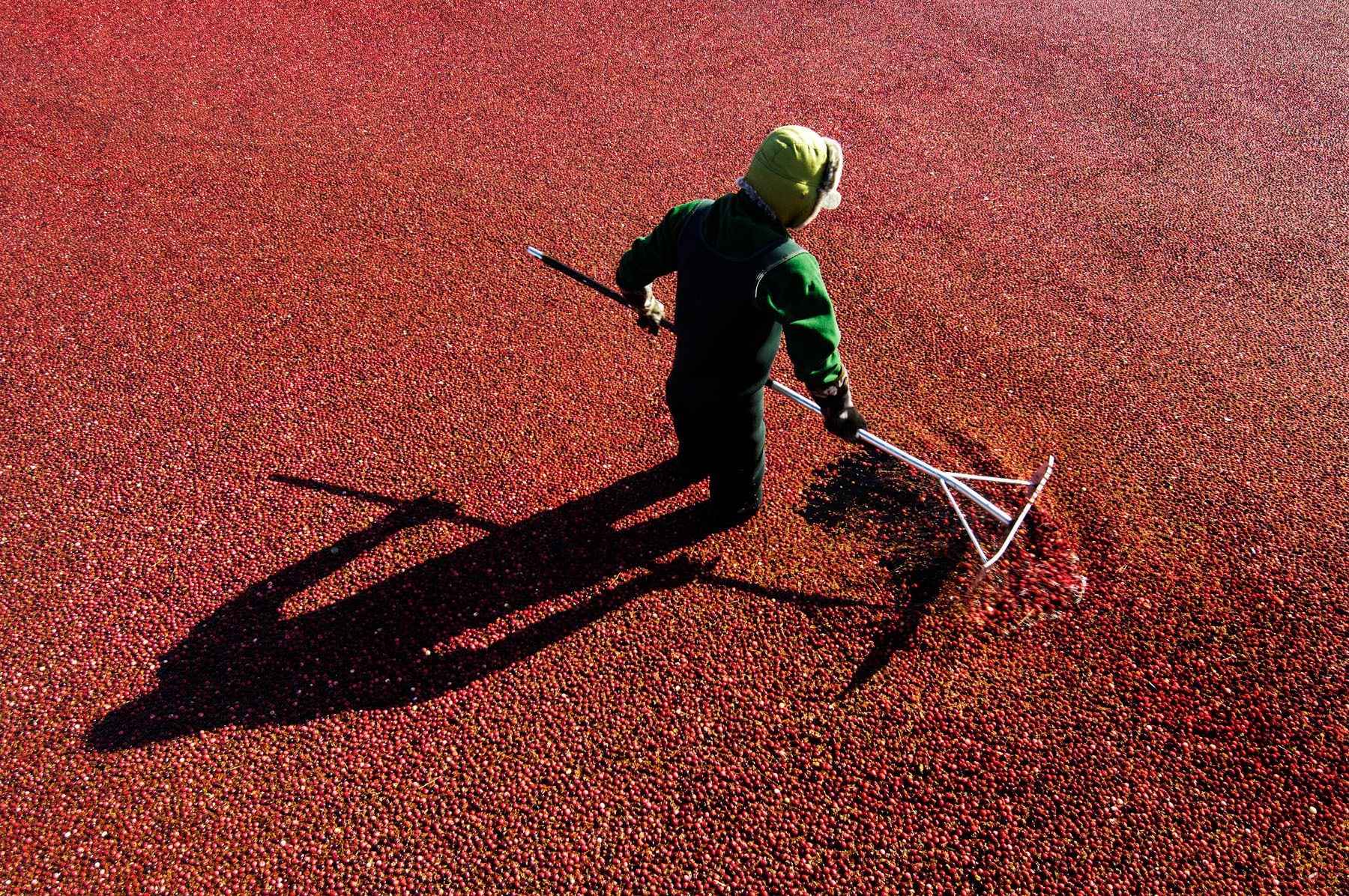 1oceanspray0407_copy_copy