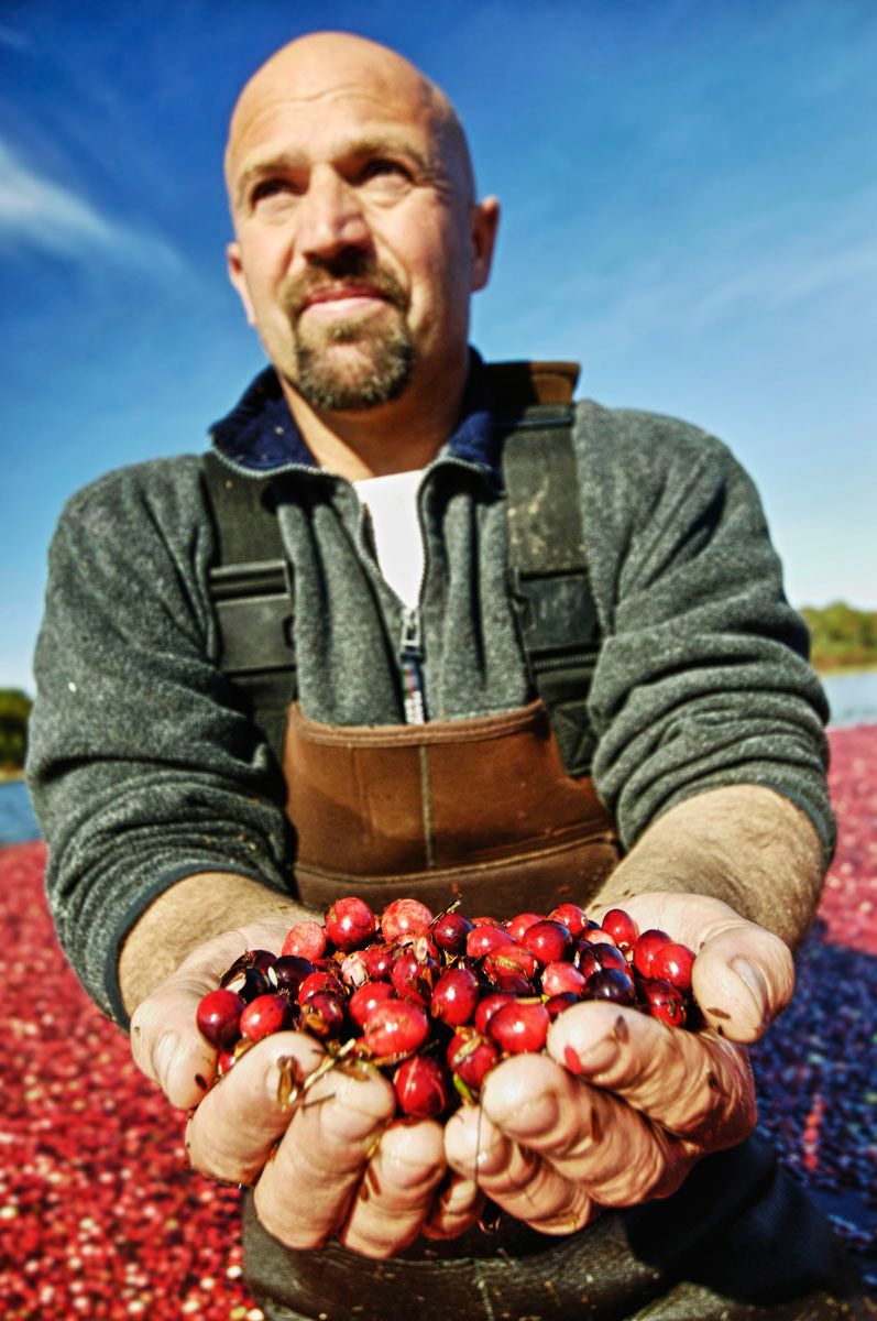 1oceanspray0750_f_copy