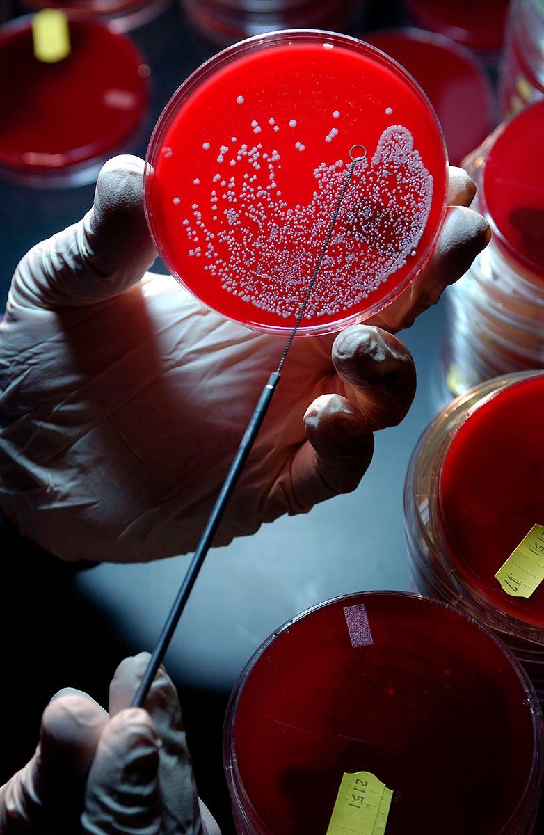 1crl1536_11_29_06_web