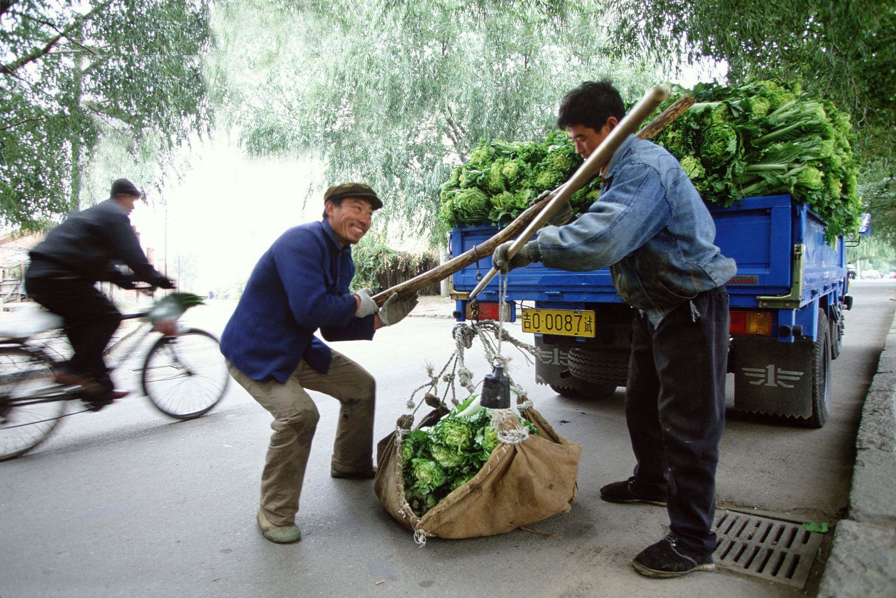 1len_rubenstein_chinese_fina