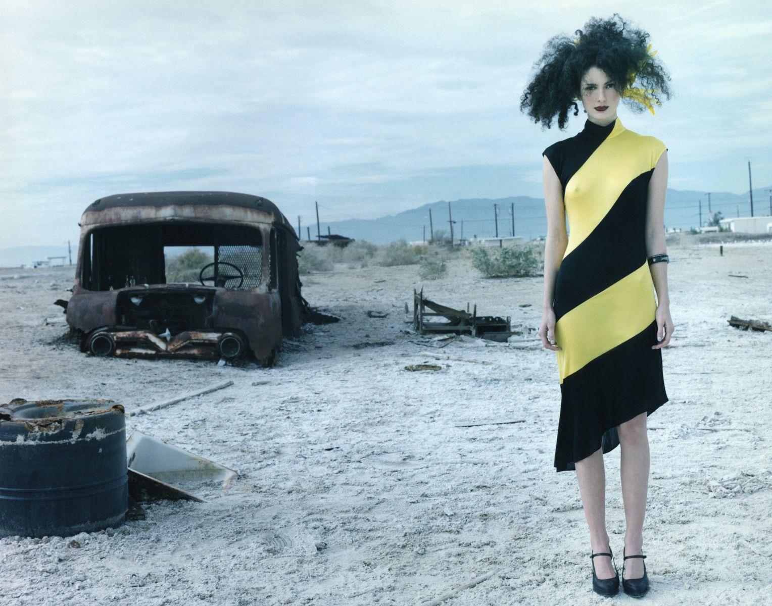 1saltensea051204scaler