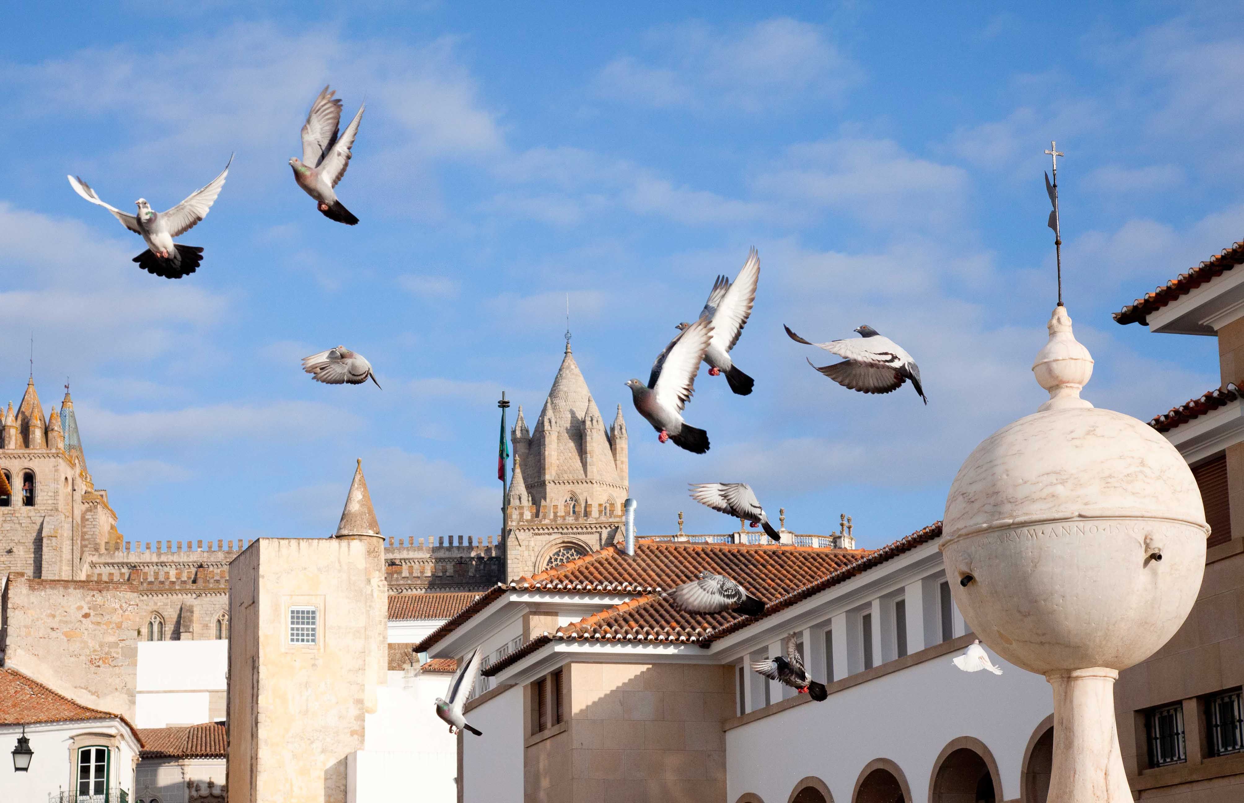 Eric Roth Portugal low rez 22.jpg