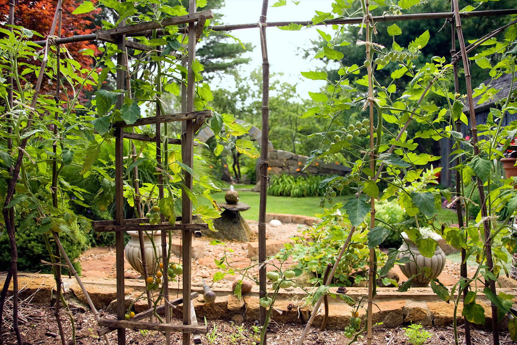 11-northshore_areano_garden_045sm