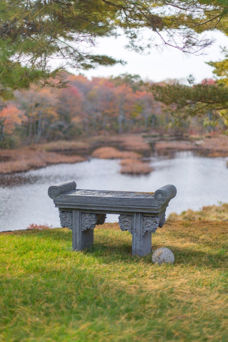 1dne_shelagh_schilling_essex_10_15_007