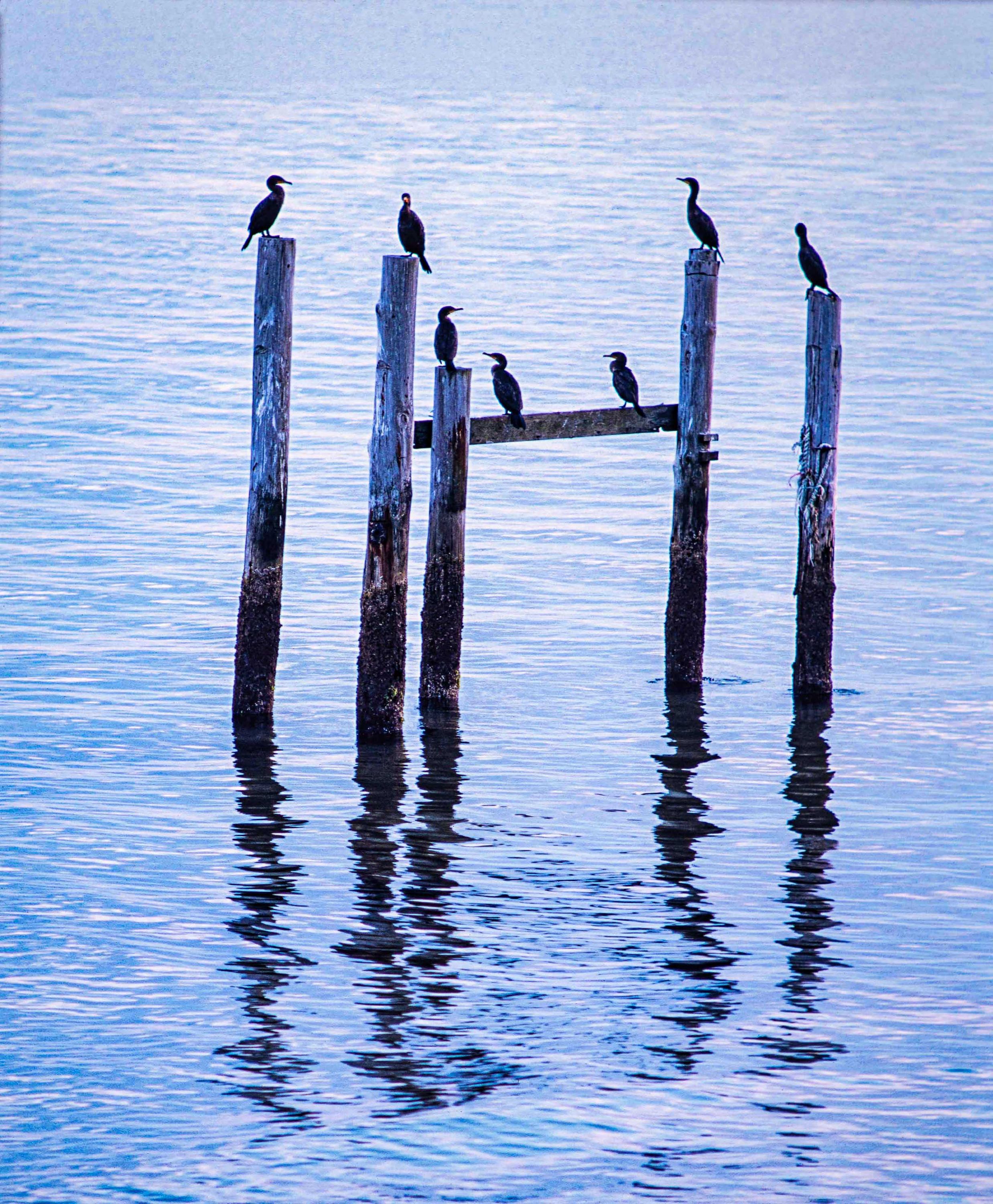 Eric Roth Portugal low rez 09.jpg