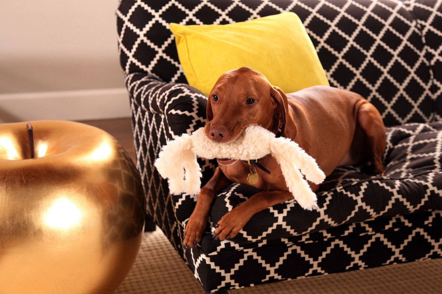 1bosmag_caan_4_11_0190