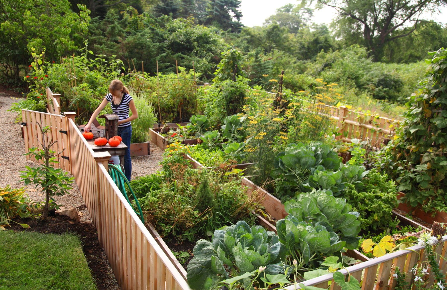 1eric_roth_photo_013