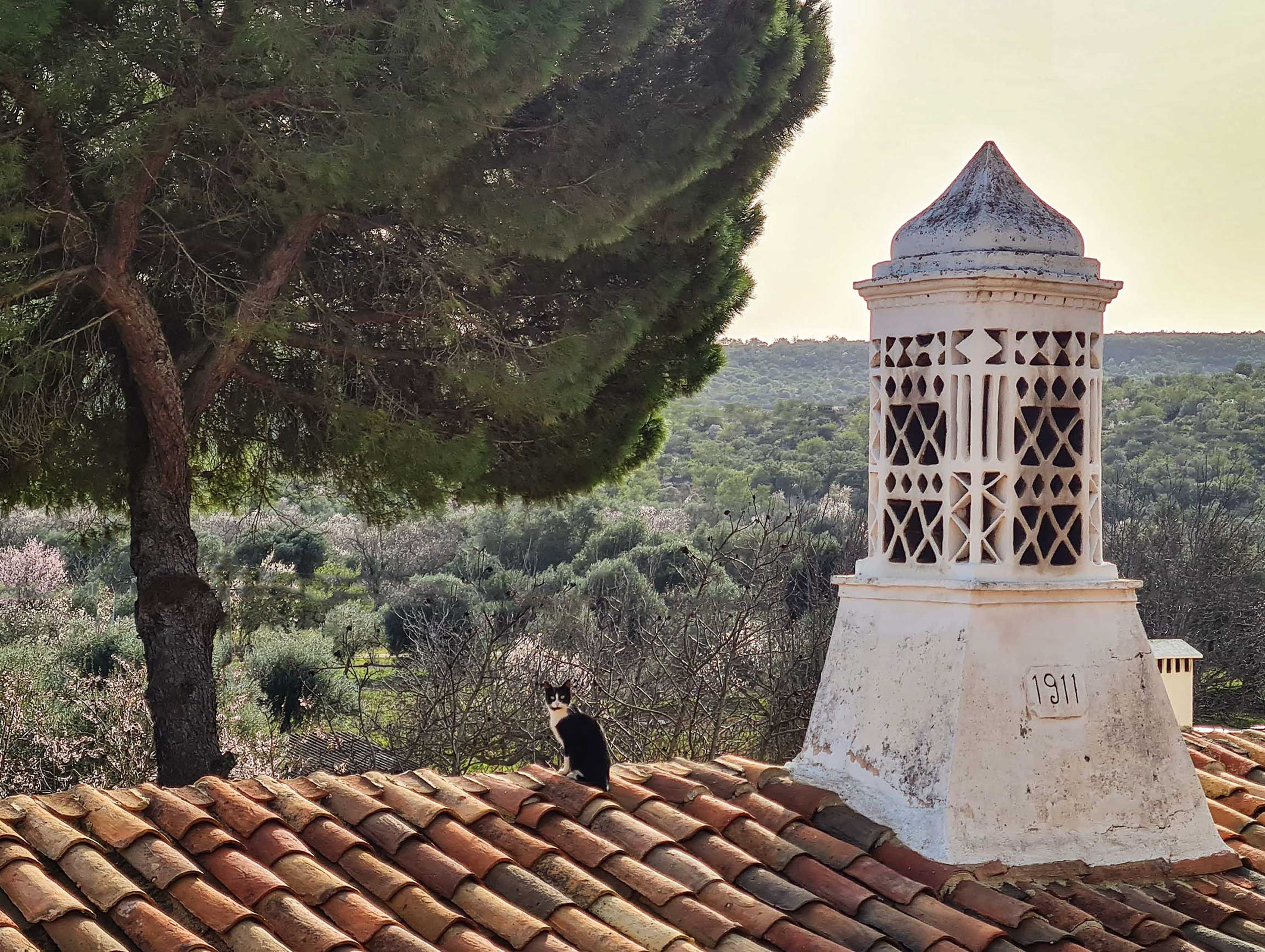 Eric Roth Portugal low rez 07.jpg