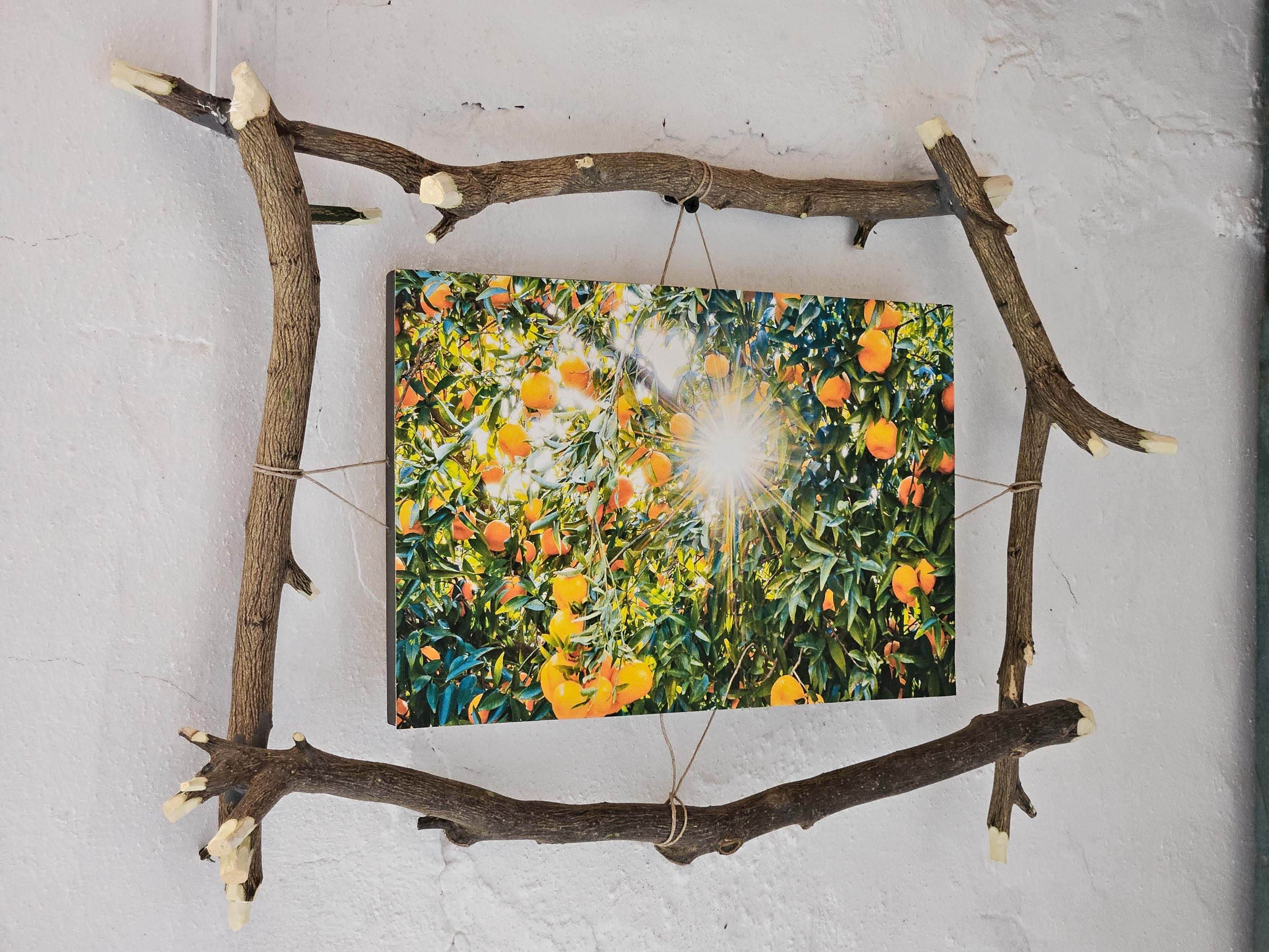 Eric Roth Portugal low rez 21.jpg