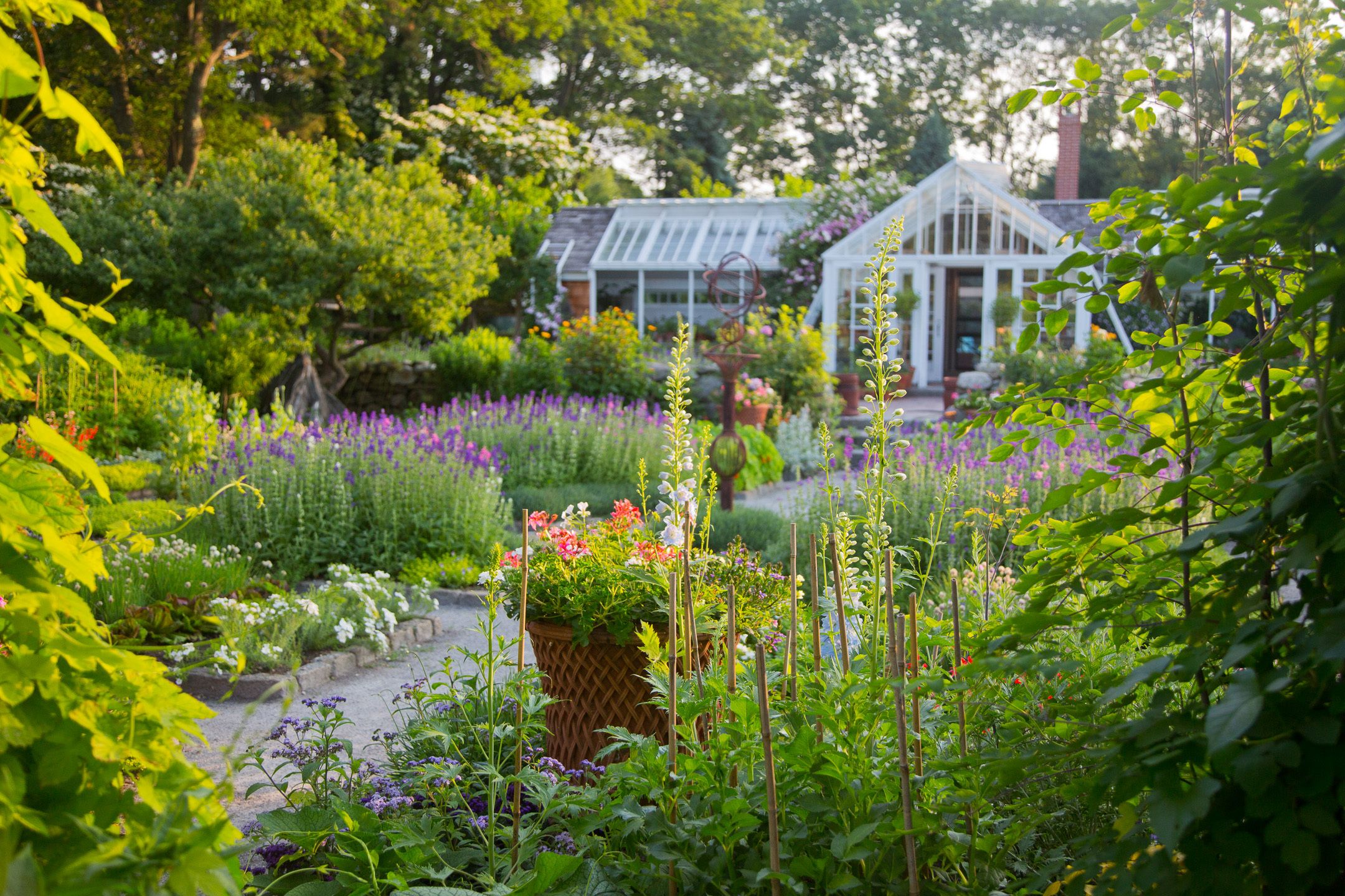 1maureen_ruettgers_garden_6_13_0036