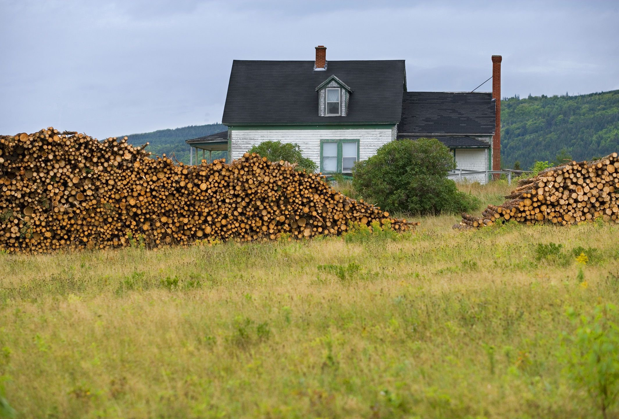 1house_with_logs