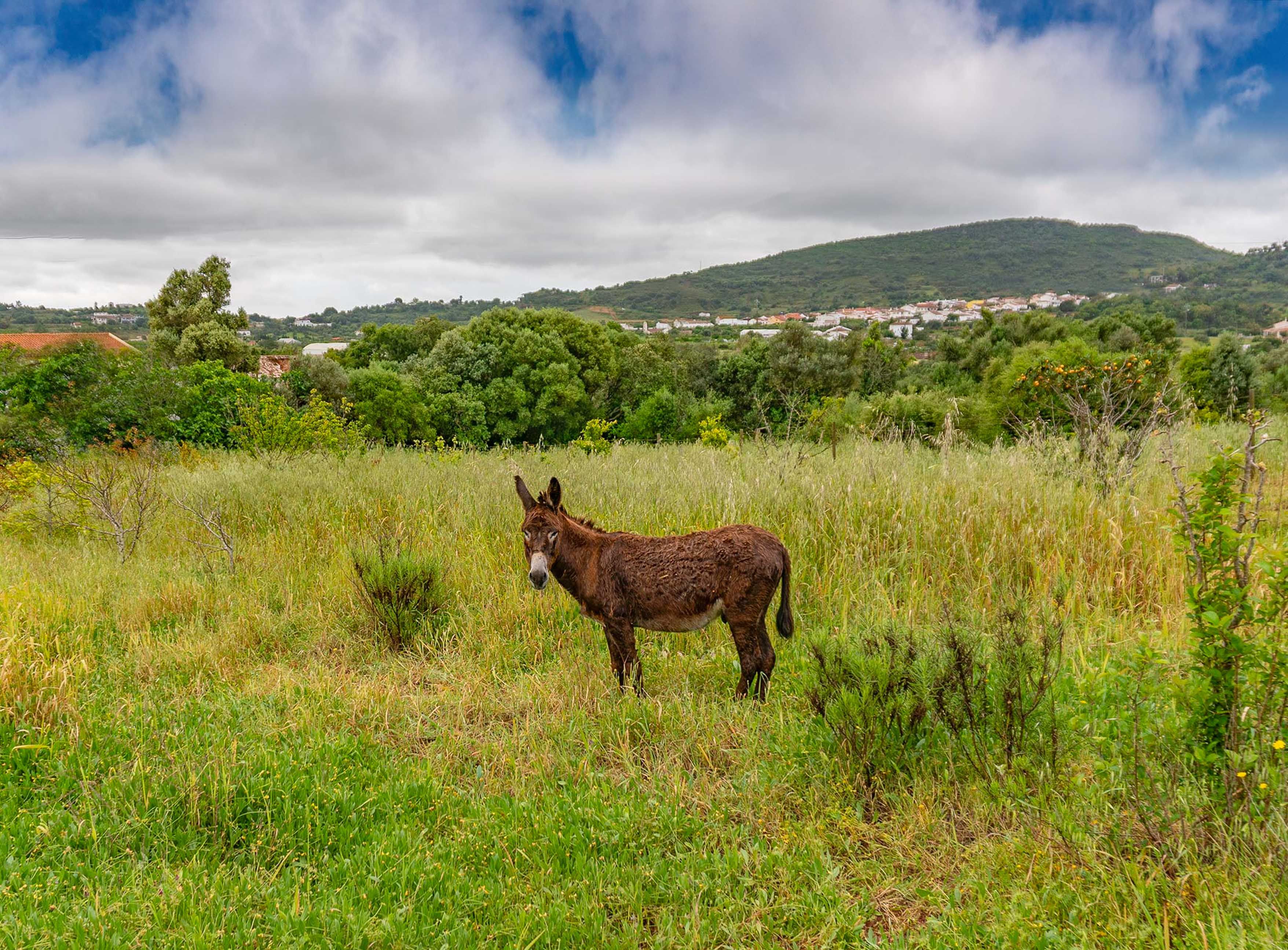 Eric Roth Portugal low rez 10.jpg