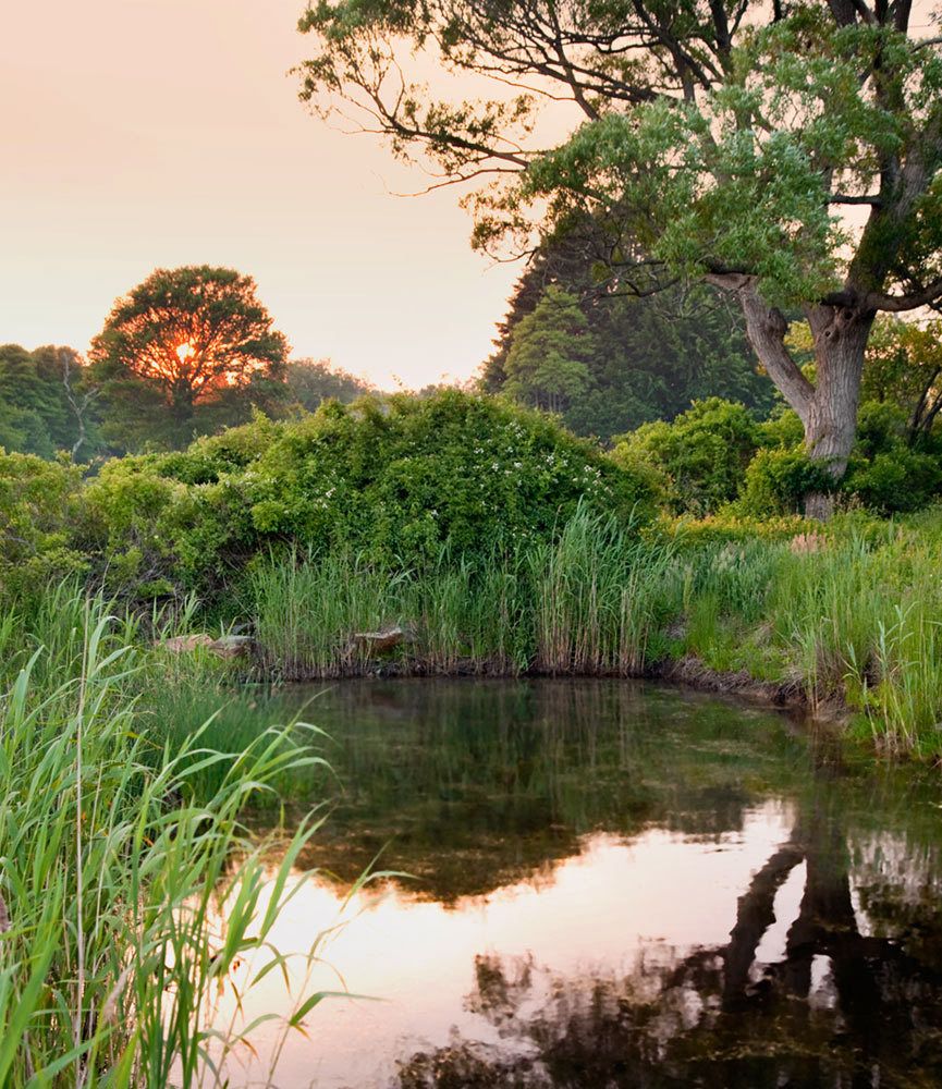 1dne_dominique_browning_17