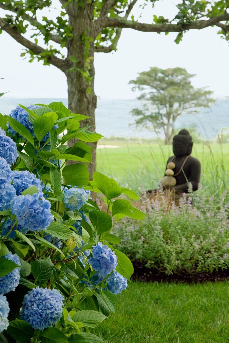 1coastal_morash_ext_vignette