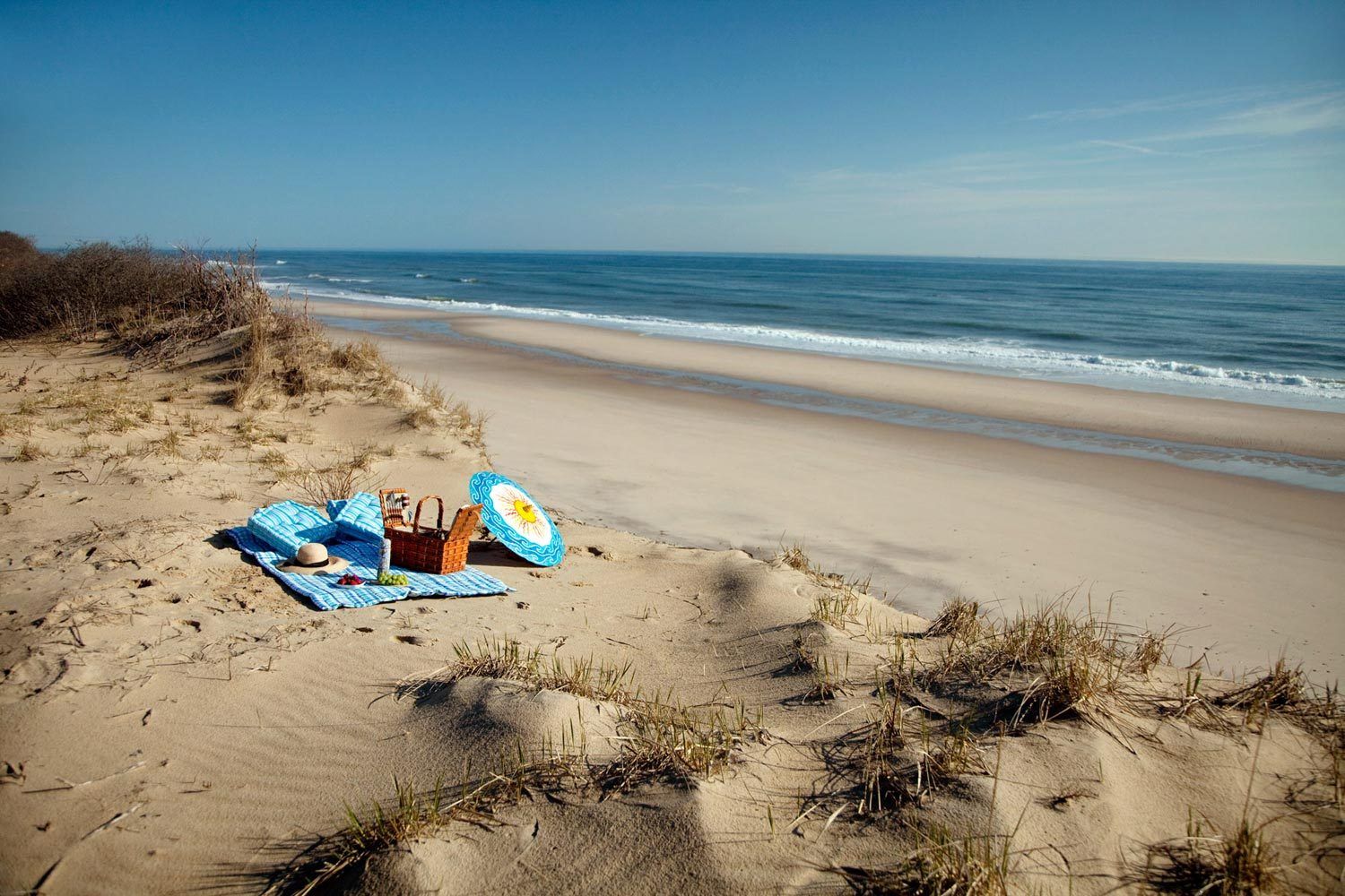 1picnic_4_10_beach_3