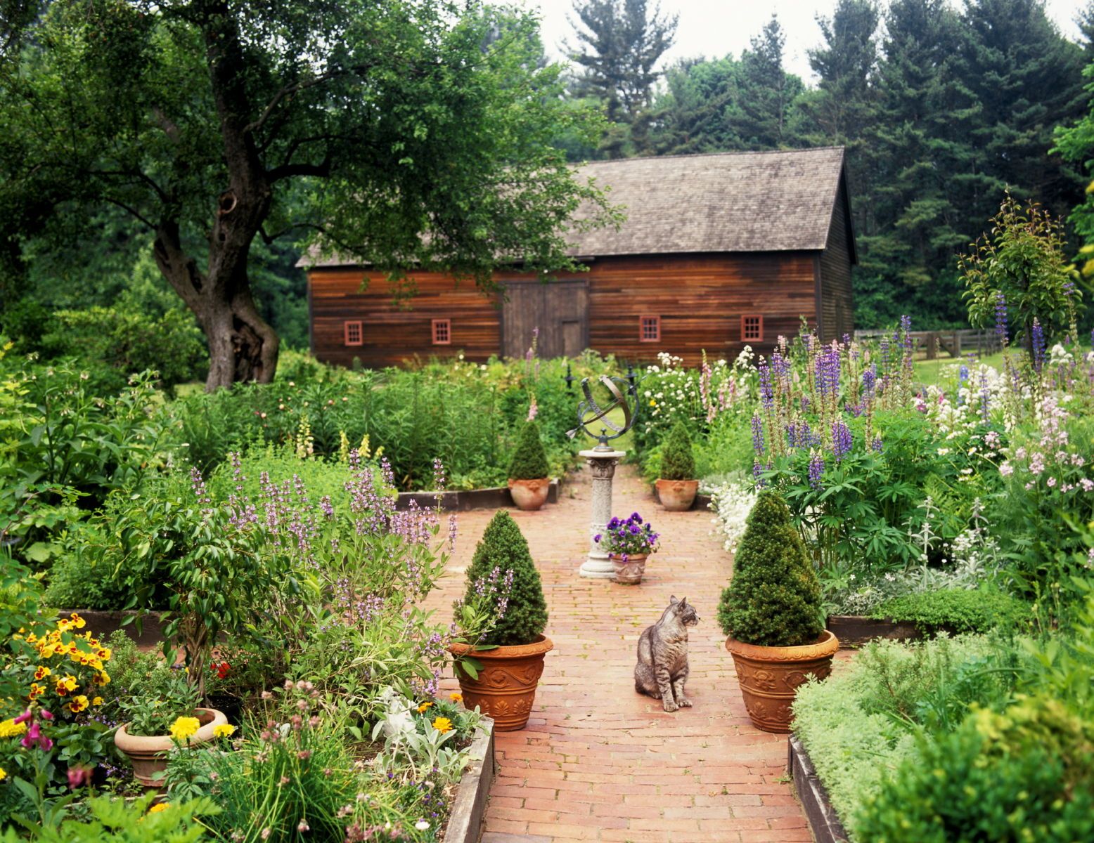 1eric_roth_photo_004