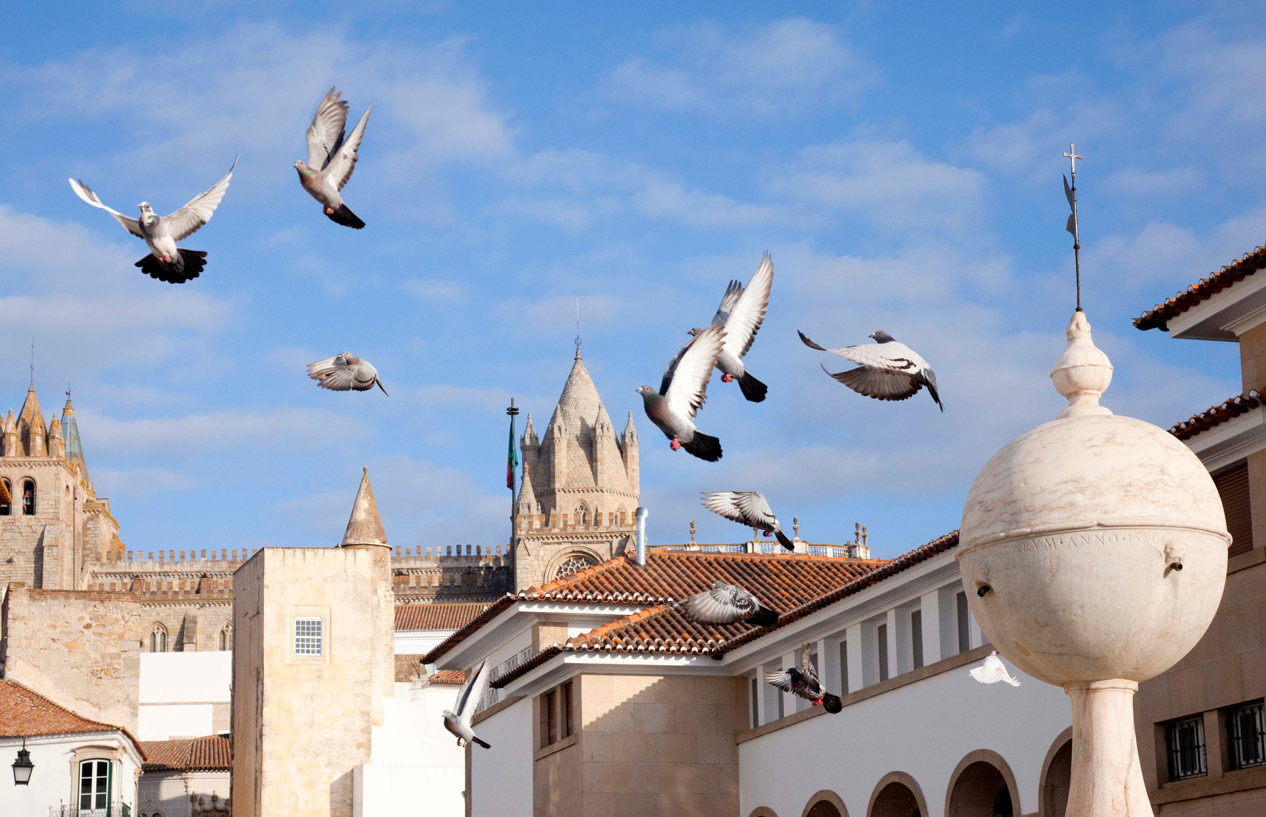 Eric Roth Portugal low rez 22.jpg