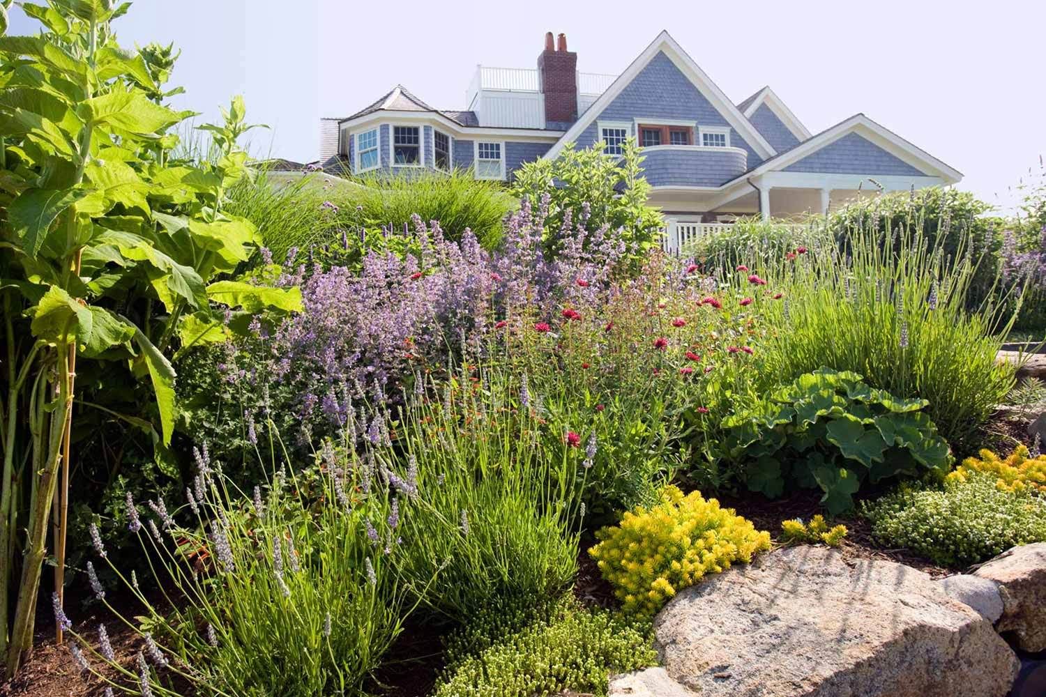 1cape_cod_phelps_07_09_ext_7