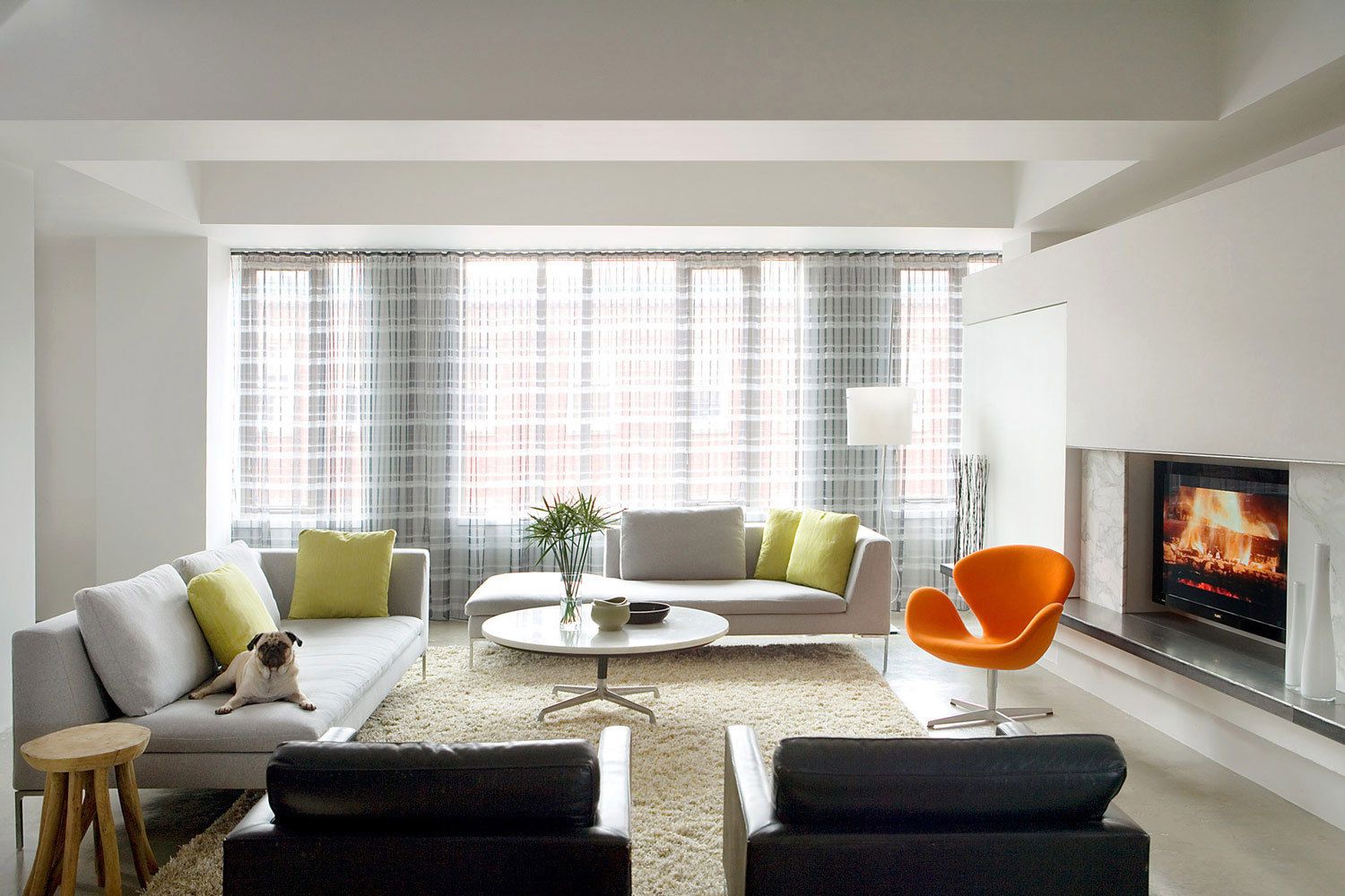 1met_home_livingroom_with_dog