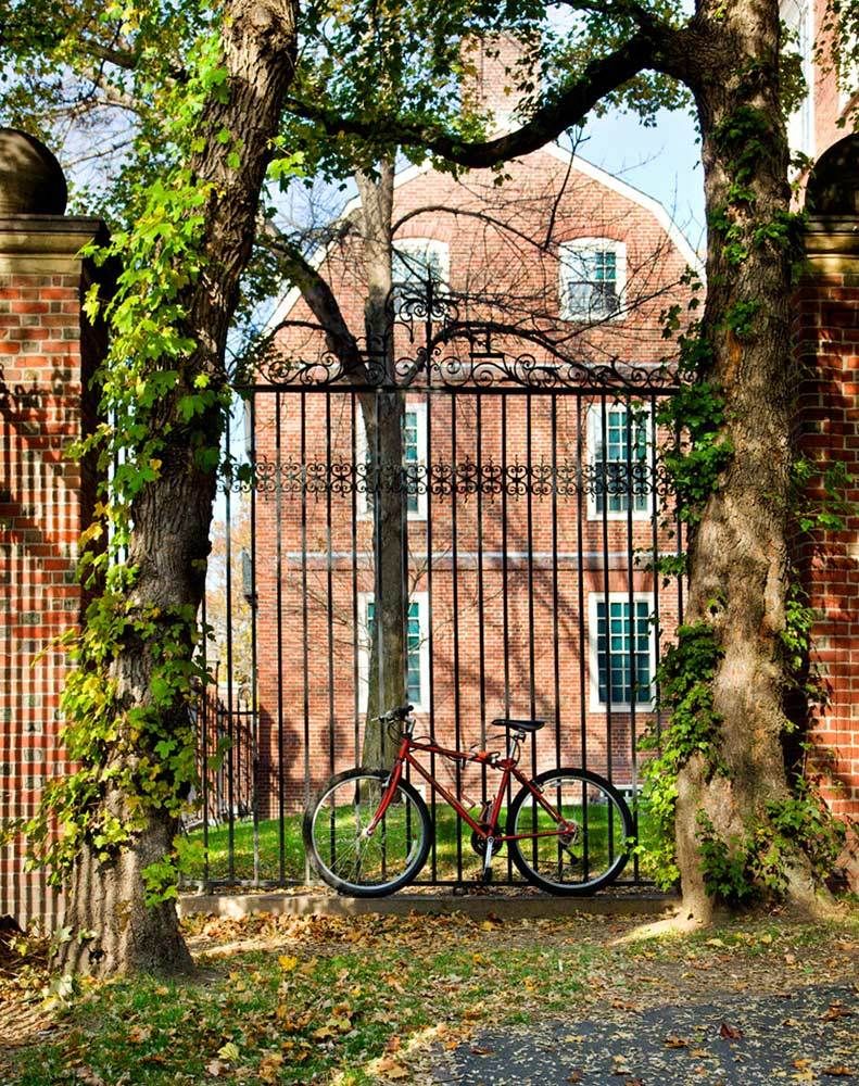 1trees_of_harvard_11_08_0156