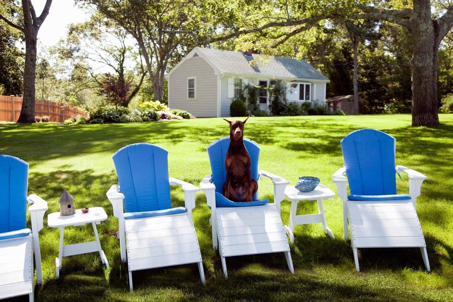 1cape_cod_hallam_8_10_ext_3