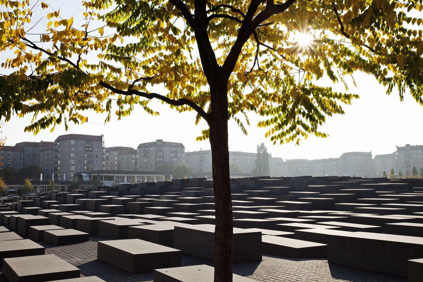 Germany,Berlin,Memorial to the Murdered Jews of Europe Memorial to the Murdered Jews of Europe