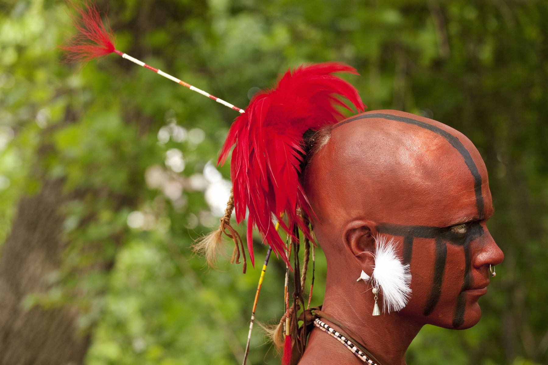 Canada,Ontario,Stoney Creek. Battlefield House, Battle of Stoney Creek 1812 re-enactment, portrait of Six Nations Native in battle dress. Alamy # DBAAKE Canada,Ontario, Stoney Creek. Re-enactment of the War of 1812, Battle of Stoney Creek, portrait of Six Nations Native in battle dress