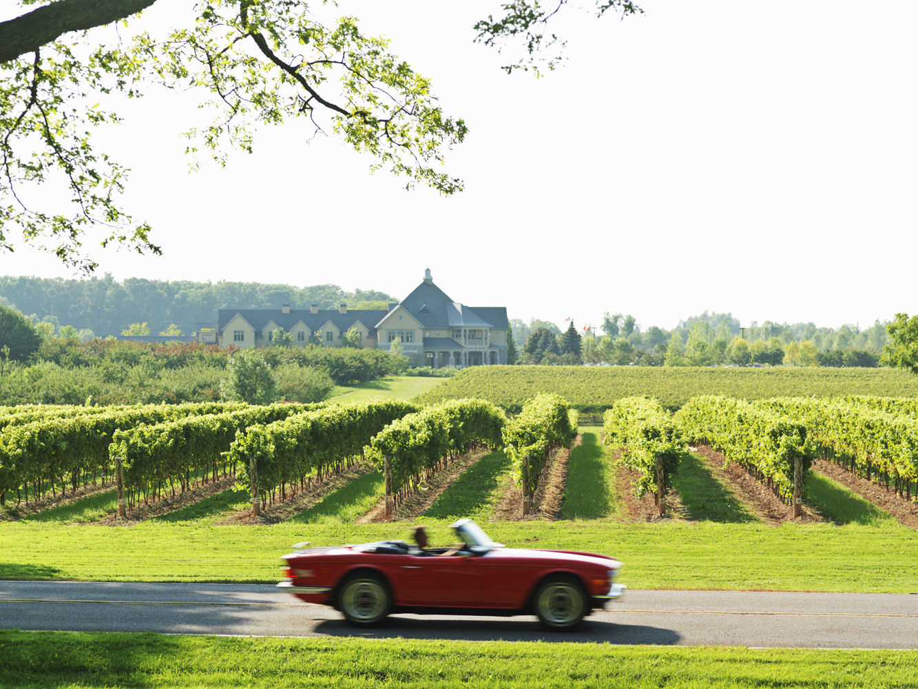 Canada,Ontario,Niagara-on-the-Lake,vineyards with red sports car passing by a winery in the background. Getty Image # 83285700 red sports car on road passing vineyards and winery in the Niaga