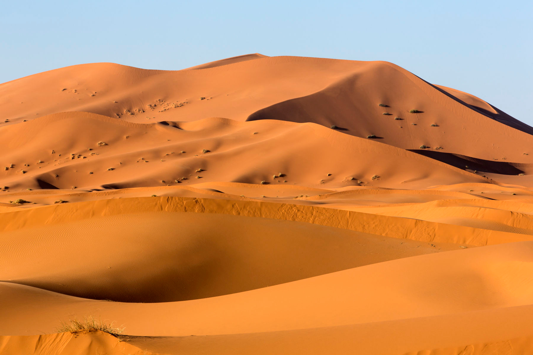1_0_512_1moroc_merzouga_2122.jpg