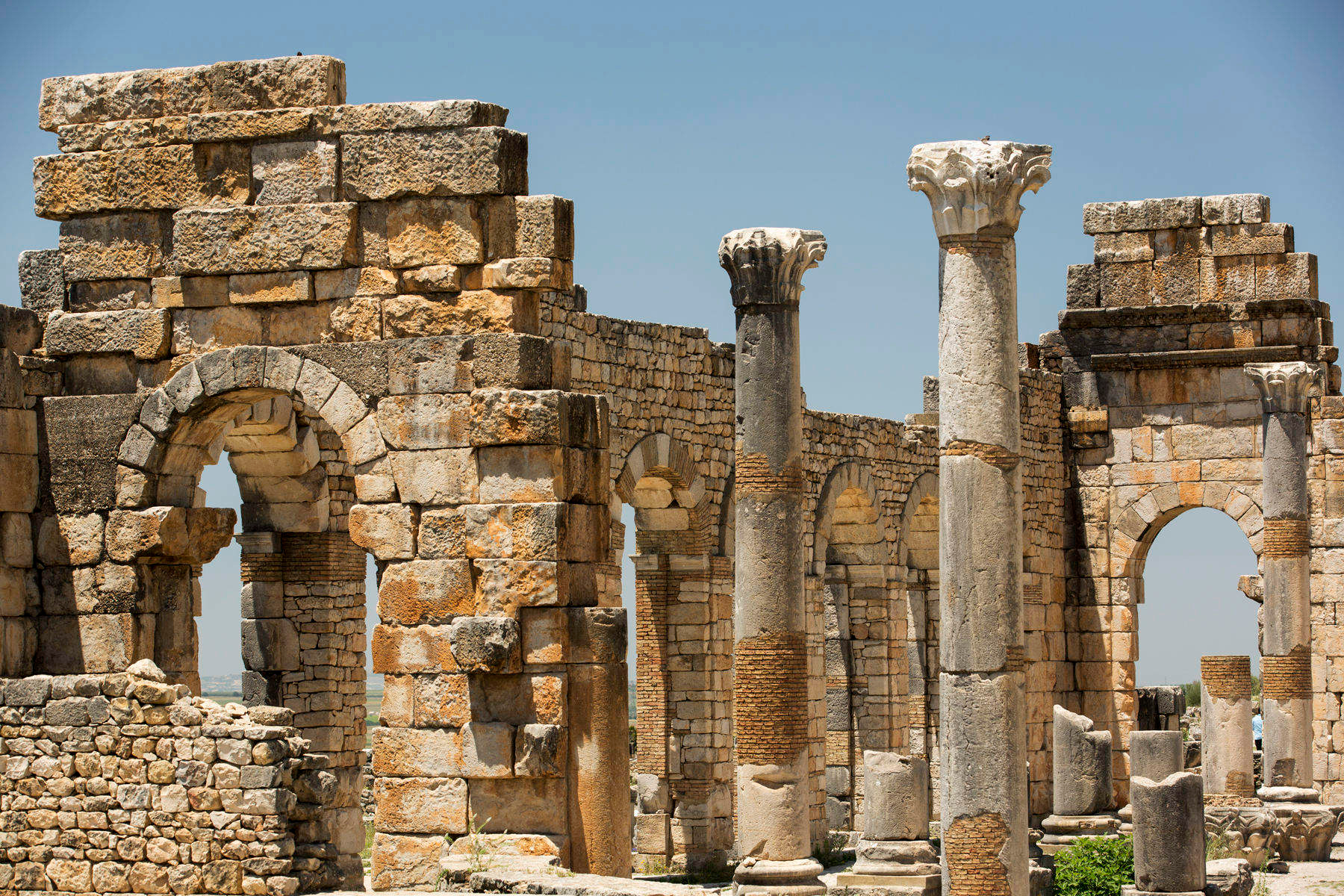 1moroc_volubulis_9469