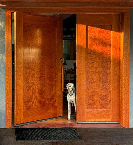 Otis Pivot door 2025 500 tall.jpg