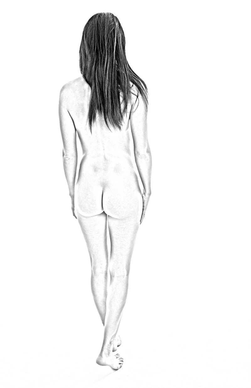 Posterior View - Sketch