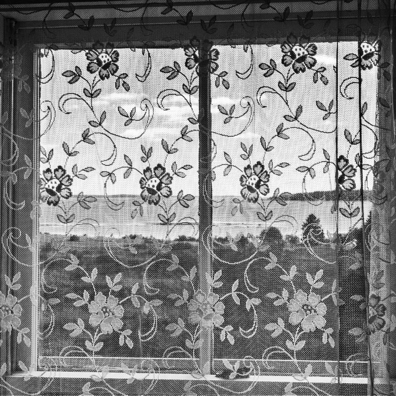 View Through Lace Curtains