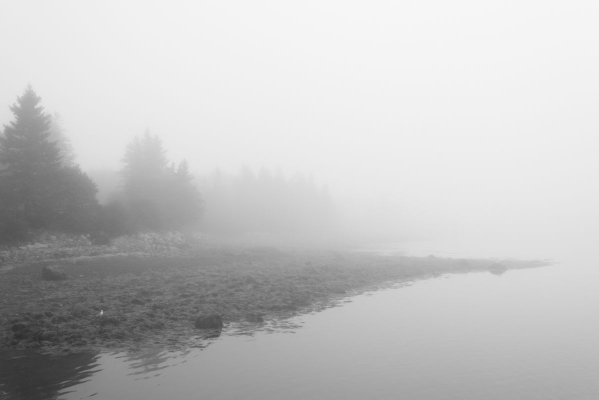 Foggy Morning at Waterfront, WBS